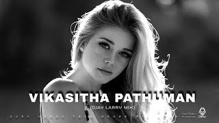 Vikasitha Pathuman DJAY LARRY MIX